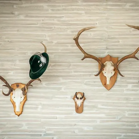 Schuetzenhaus מלון Uznach