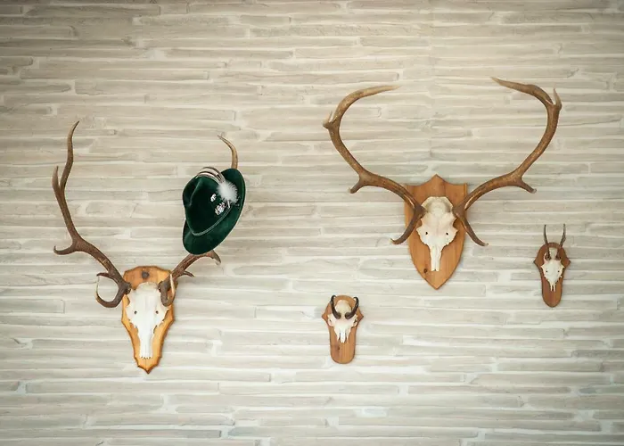 Schuetzenhaus Hotel Uznach