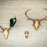 舒琛豪斯酒店 酒店 Uznach